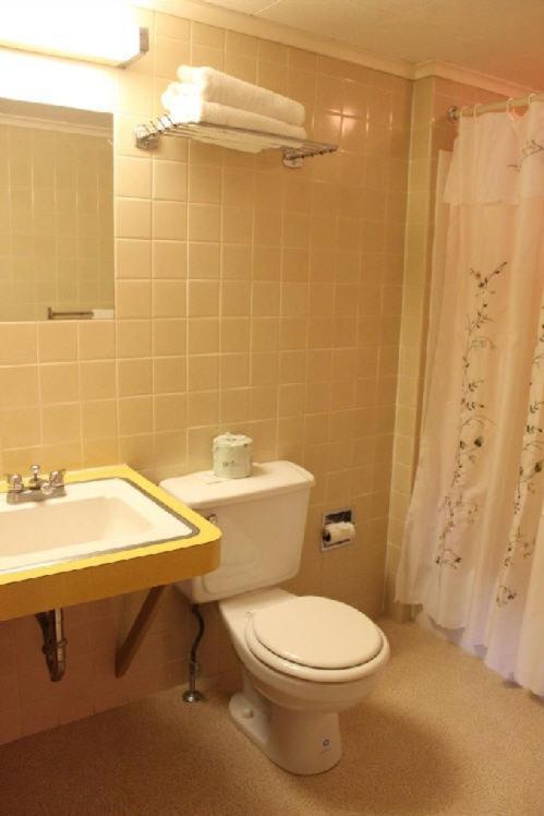White Trellis Motel Норт-Конвей Номер фото