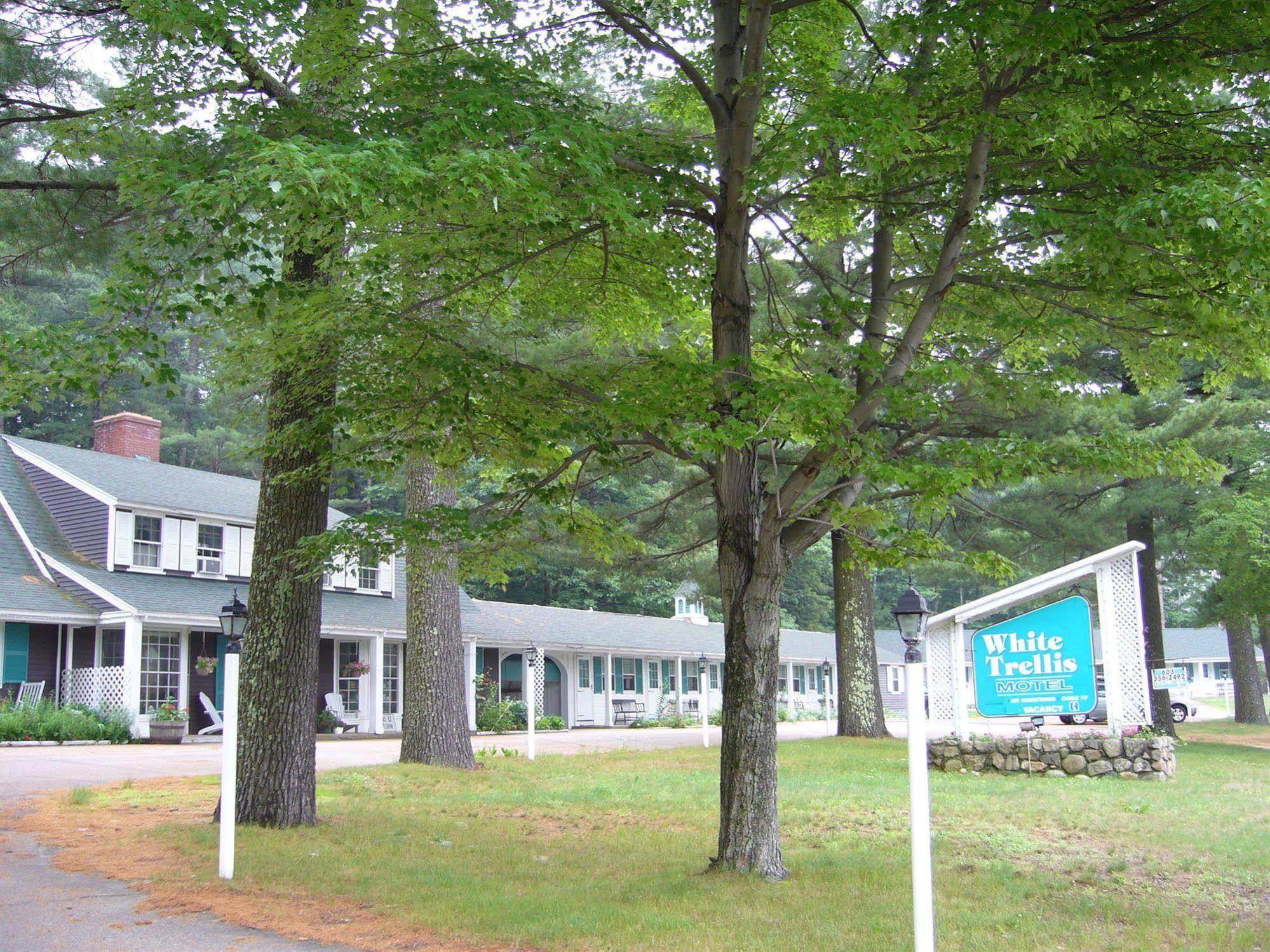 White Trellis Motel Норт-Конвей Экстерьер фото